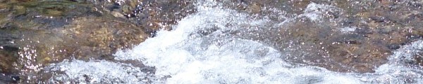 尿毒症
